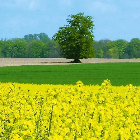 Apartment Ferienwohnung, *