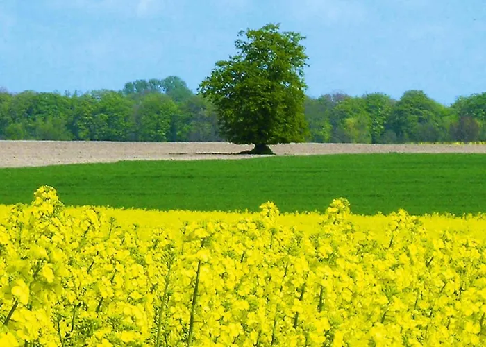 公寓 Ferienwohnung, *